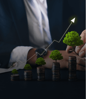 Investment & Markets